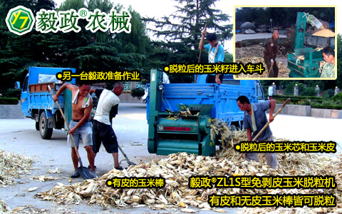 毅政,ZL1S,免剝皮,玉米脫粒機(jī),作業(yè)