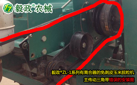 毅政牌ZL1系列有離合器的免剝皮玉米脫粒機(jī)，主傳動(dòng)三角帶錯(cuò)誤安裝