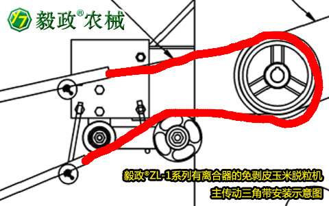 毅政牌ZL1系列有離合器的免剝皮玉米脫粒機(jī)，主傳動(dòng)三角帶正確安裝